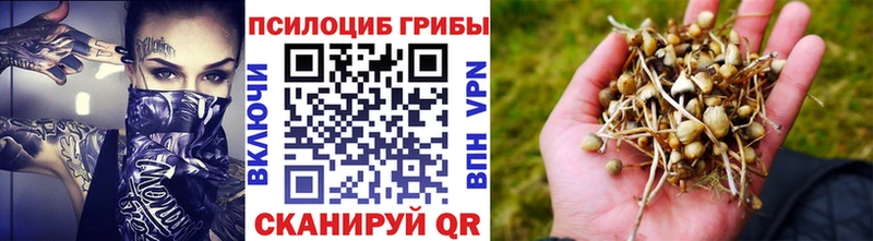 Галлюциногенные грибы Psilocybe  блэк спрут зеркало  Балабаново  закладка 